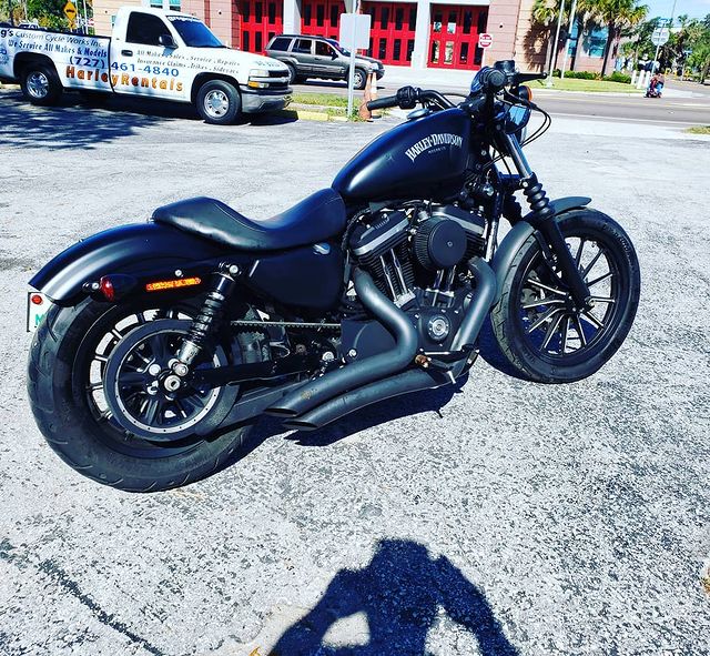 For sale sportster just in time