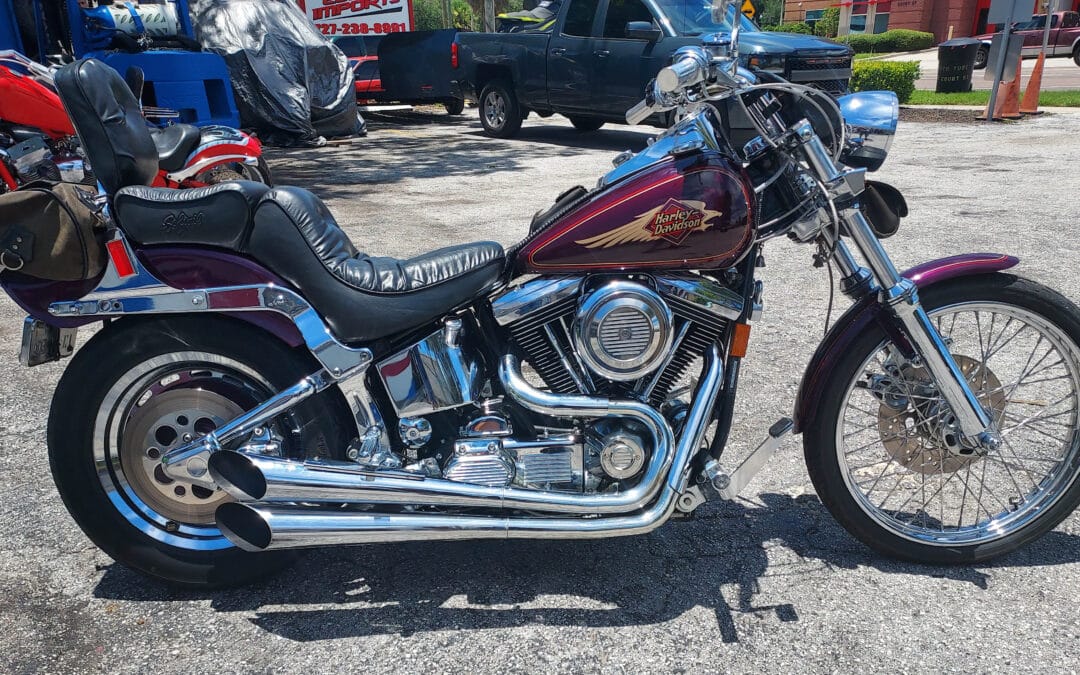 FOR SALE: 1996 Harley-Davidson Custom Softail